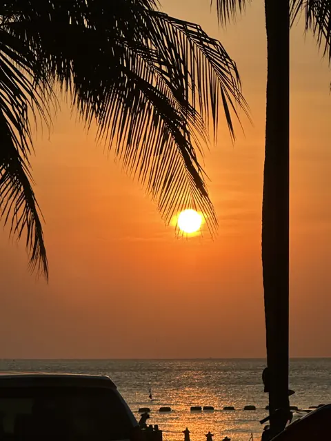 The orange sun setting behind a palm at Jomtien Beach